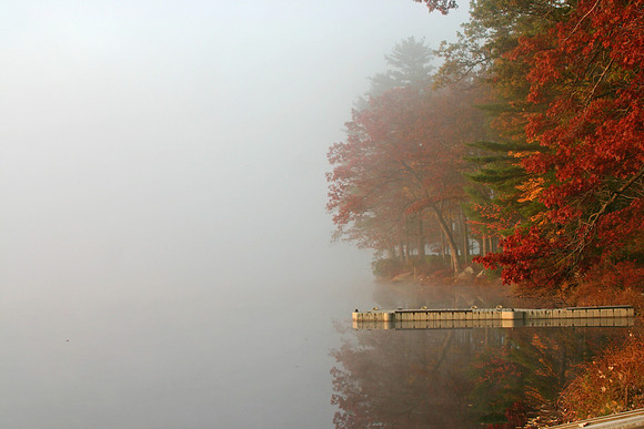 Fall on Fairview