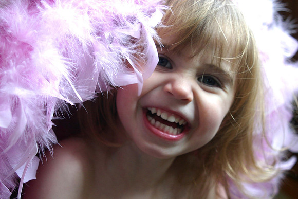 fabulous in feathers
