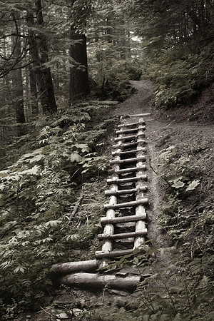 Perseverance/Granite Creek Trail Juneau, Alaska