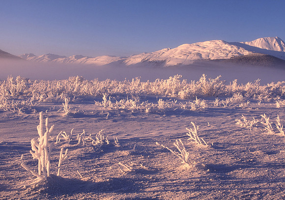 Turnagain Arm, Alaska