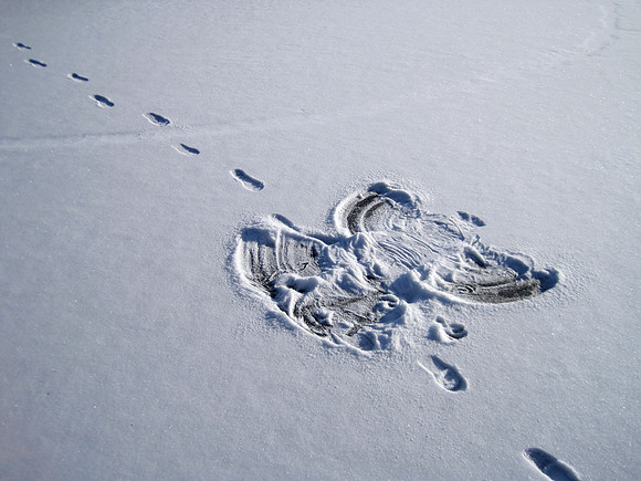 Snow Angel