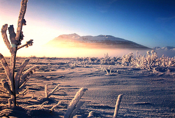 Turnagain Arm, Alaska