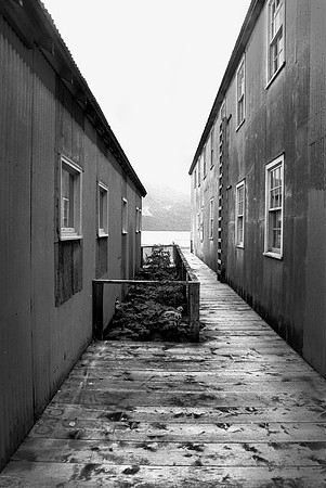 Parks Cannery Est. 1934-35